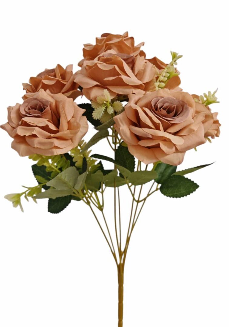 Image_202508282144252