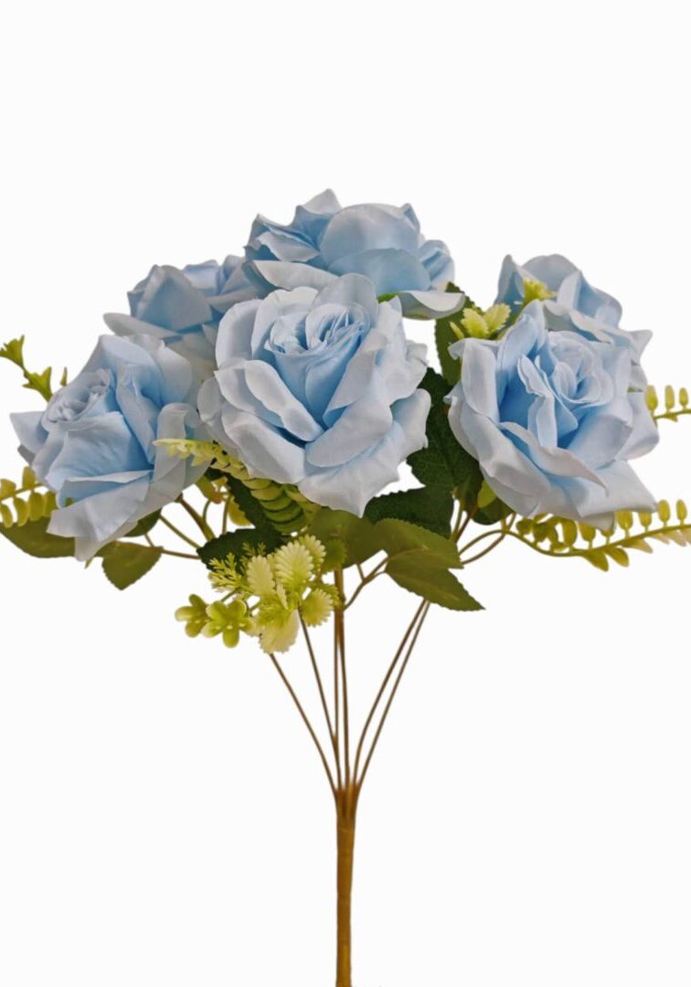 Image_202508282144253