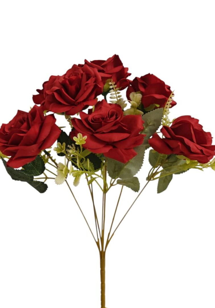 Image_202508282144254