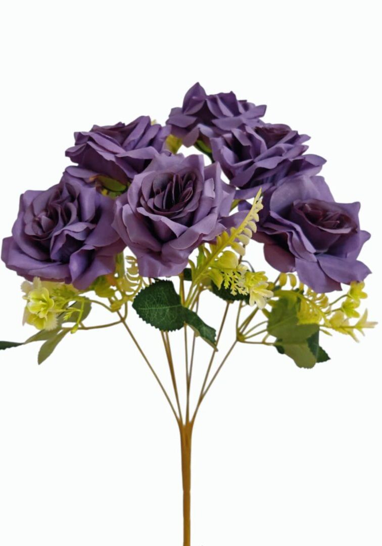 Image_202508282144255