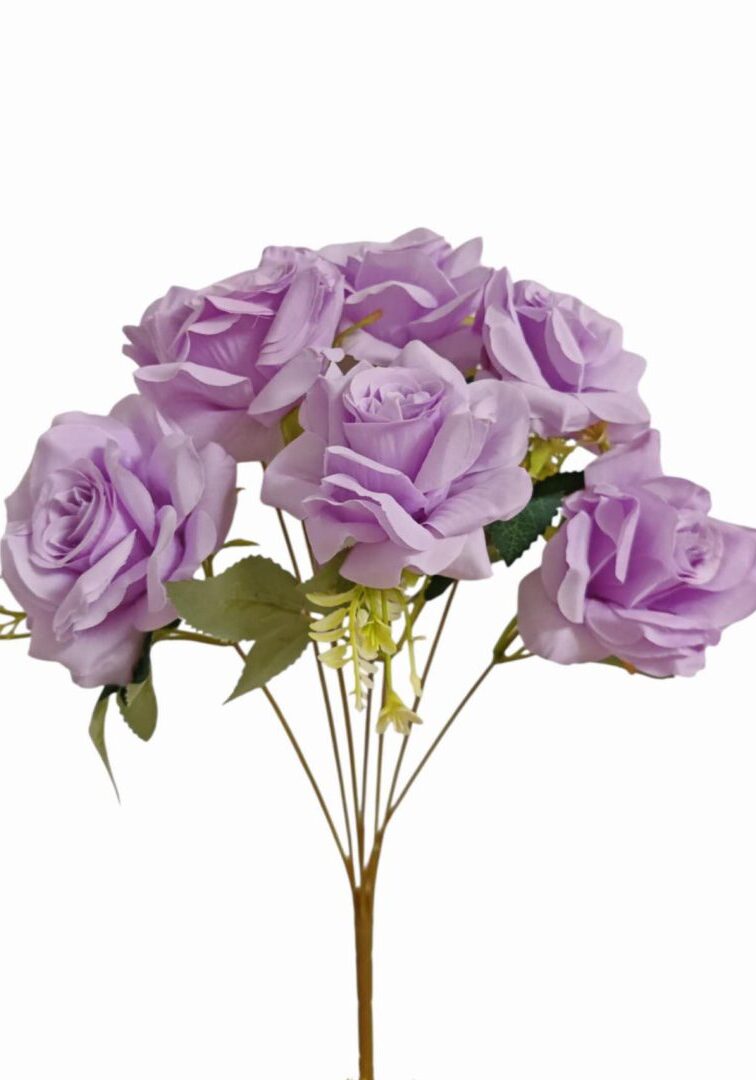 Image_202508282144256