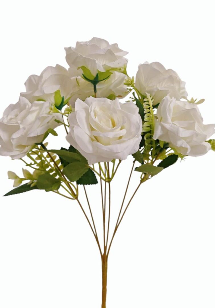 Image_202508282144257