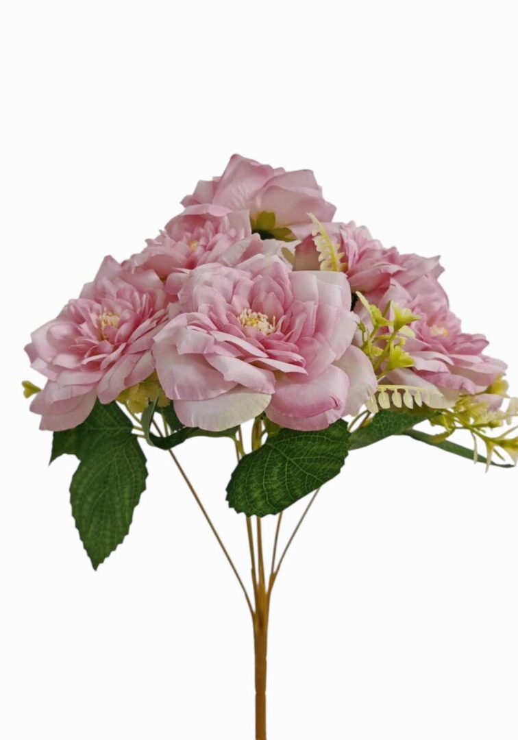 Image_202508282144258