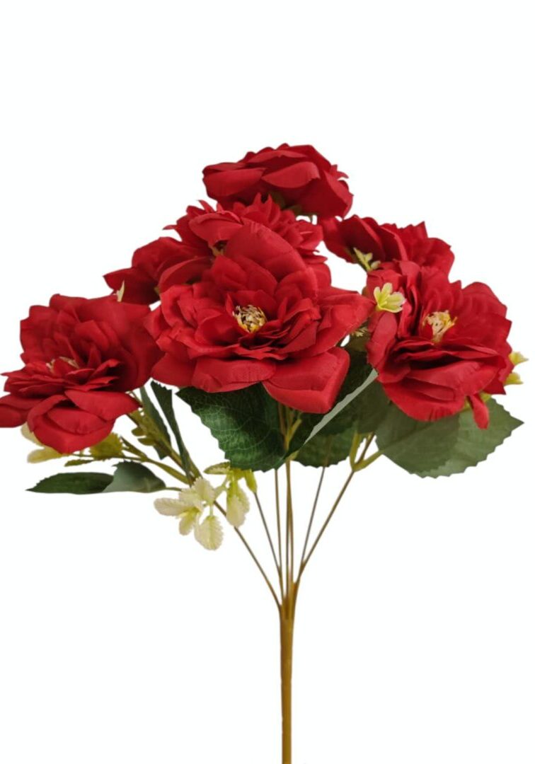 Image_202508282144259