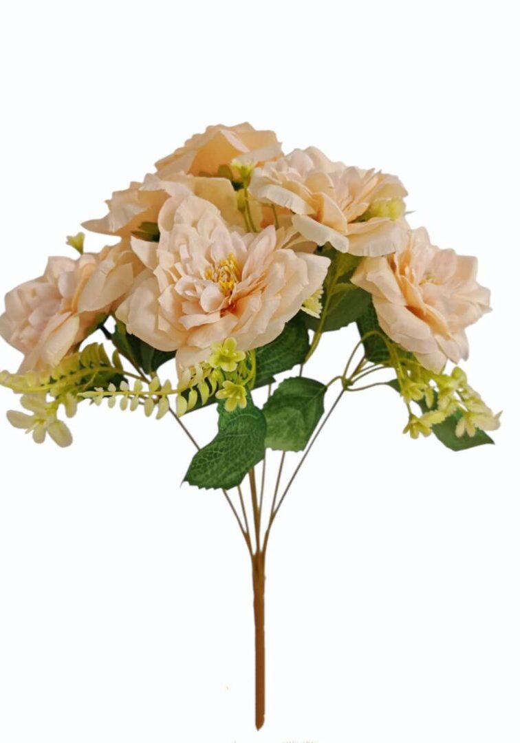 Image_20250828214426