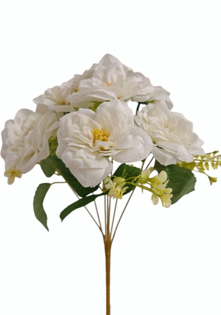 Image_202508282144261