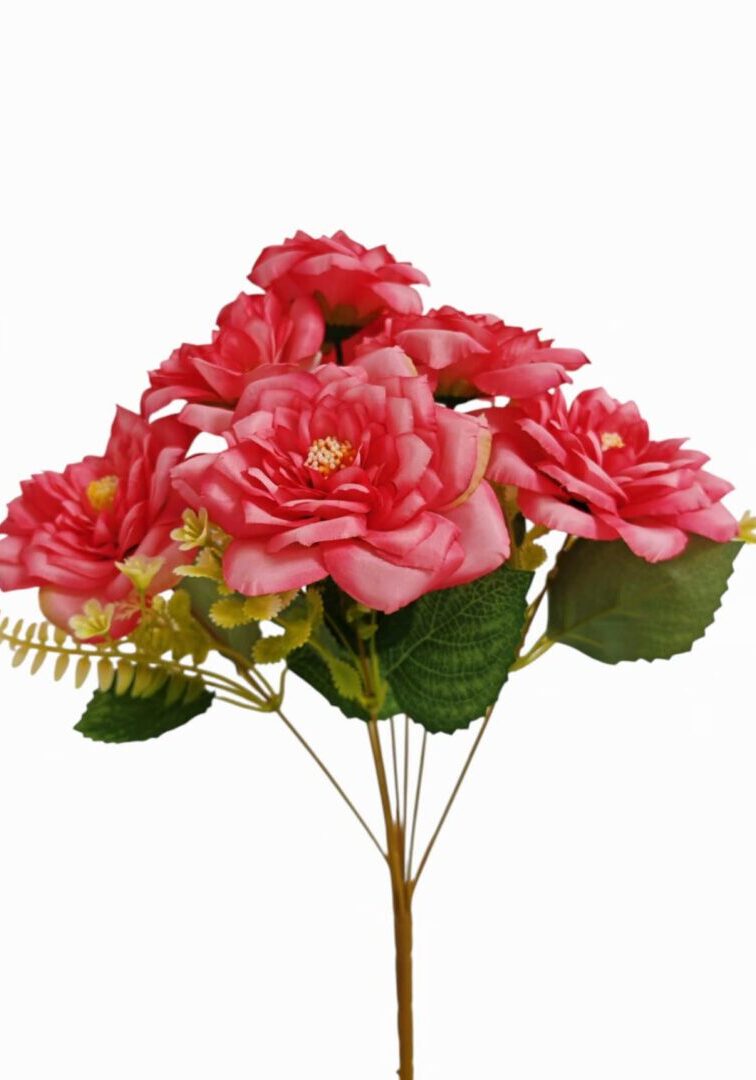 Image_202508282144262