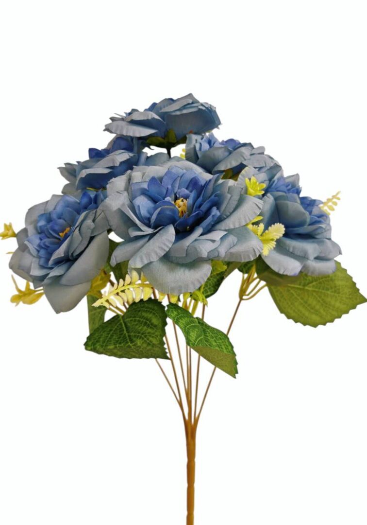 Image_202508282144263