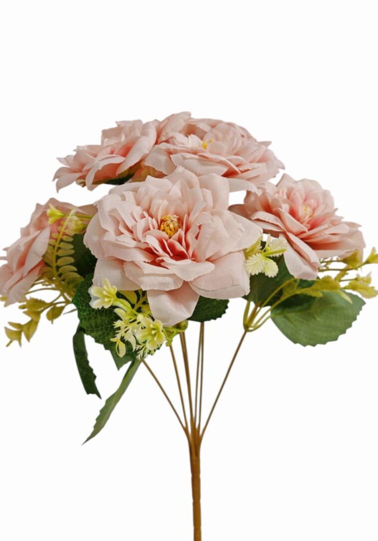 Image_202508282144264