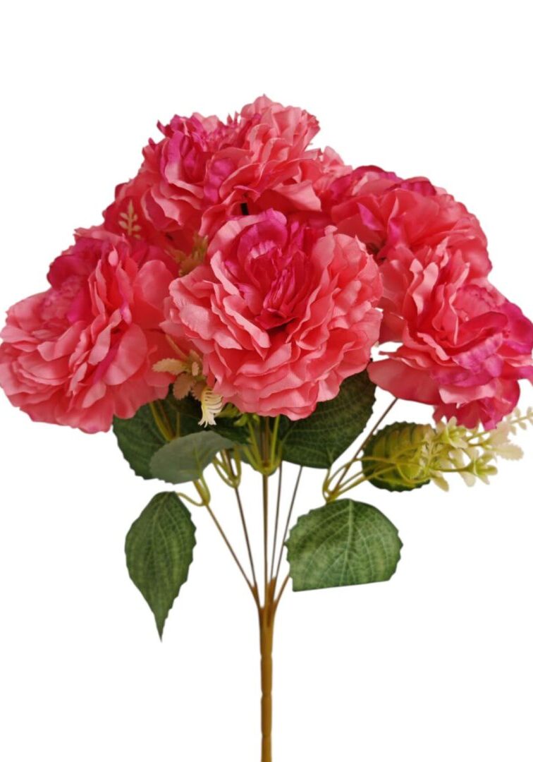 Image_202508282144265