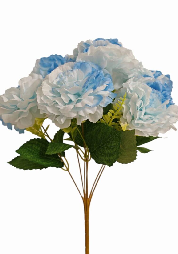 Image_202508282144266