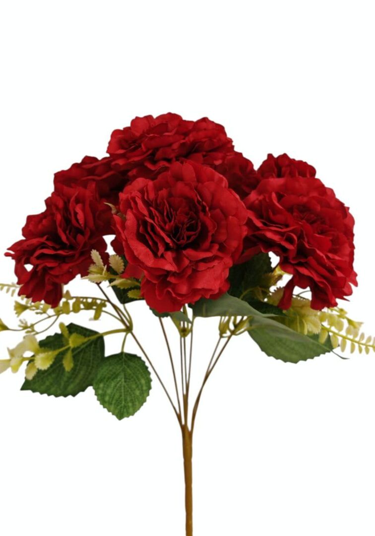 Image_202508282144267