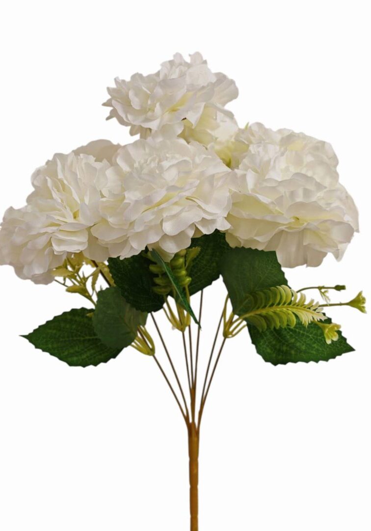 Image_202508282144268