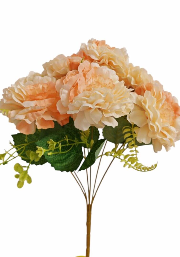 Image_202508282144269