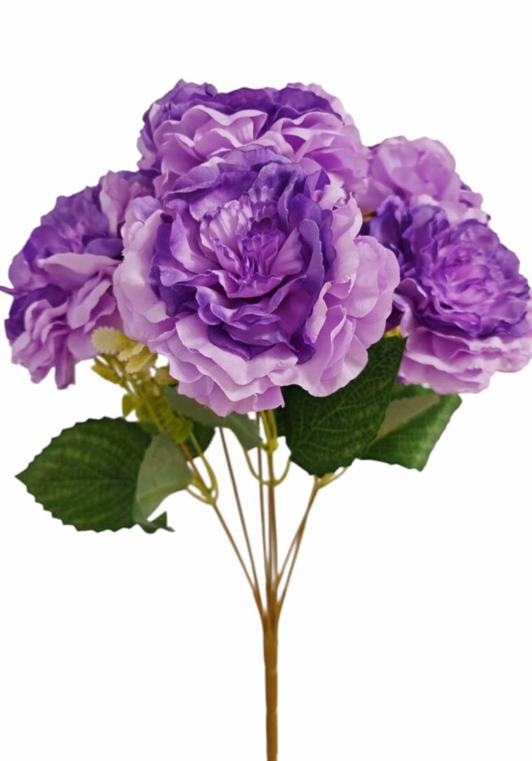 Image_20250828214427