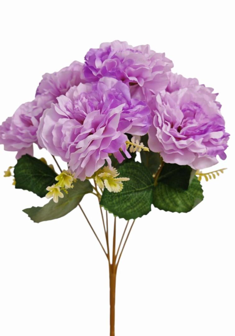 Image_202508282144271