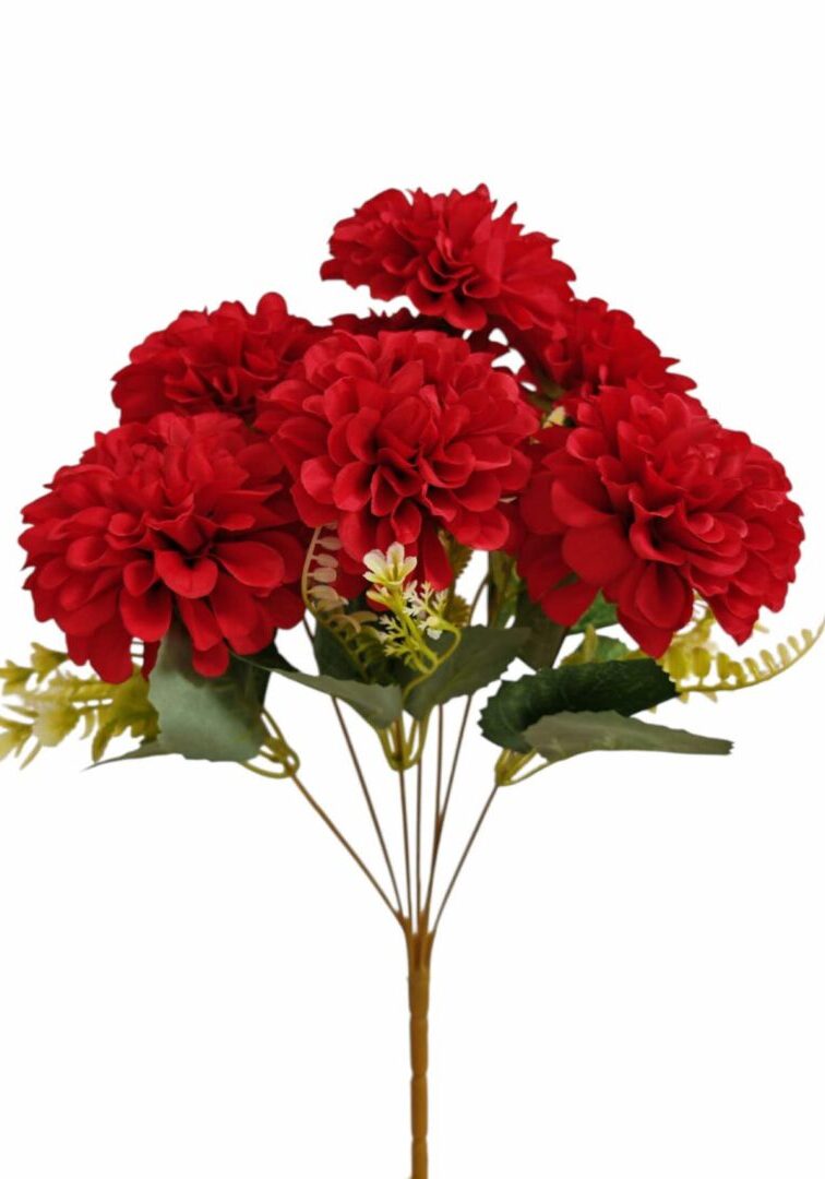 Image_202508282144272