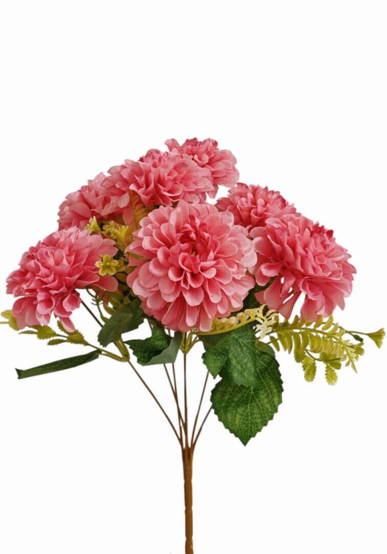 Image_202508282144273