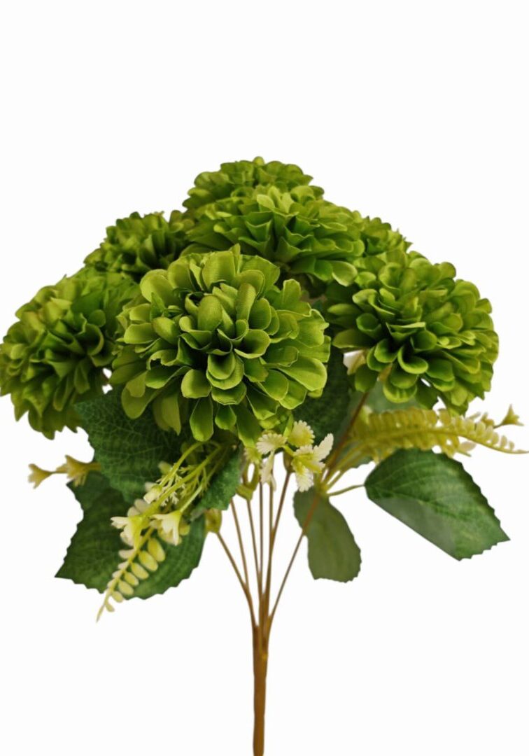 Image_202508282144274