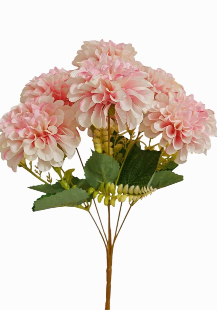 Image_202508282144275