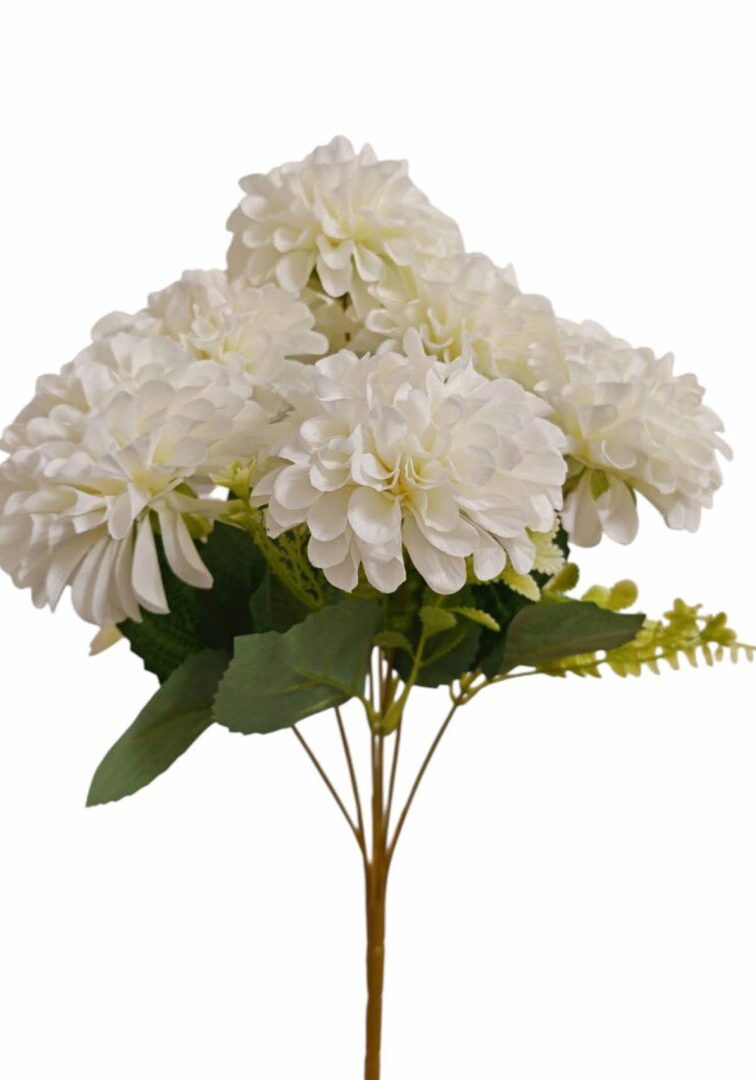 Image_202508282144276