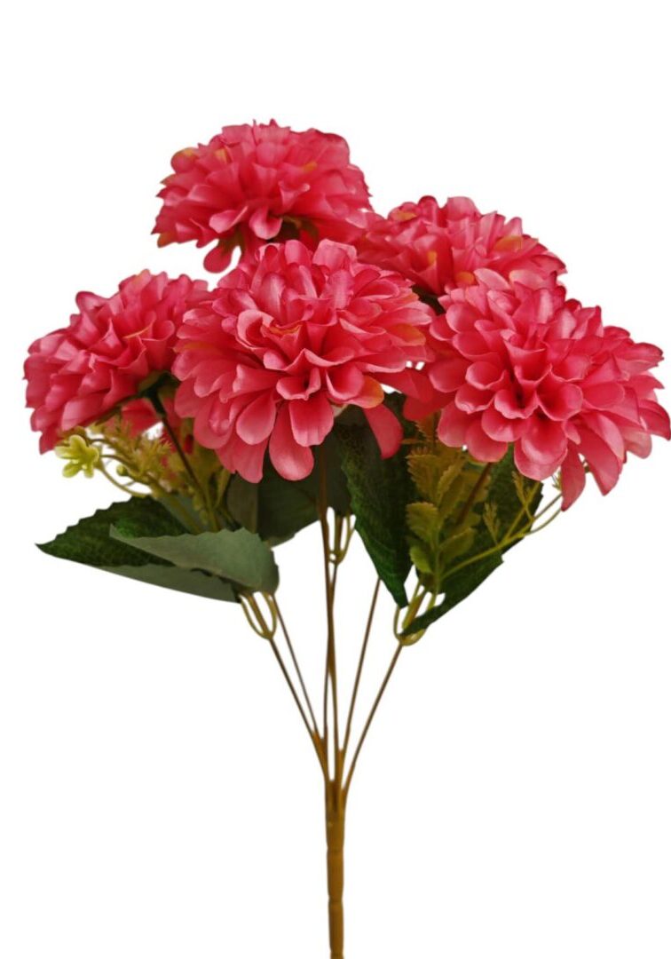 Image_202508282144277