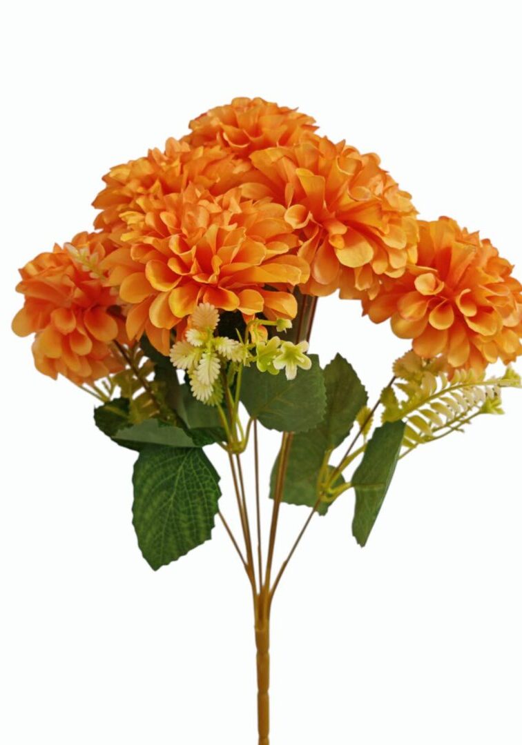 Image_202508282144278