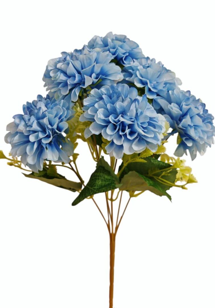 Image_202508282144279