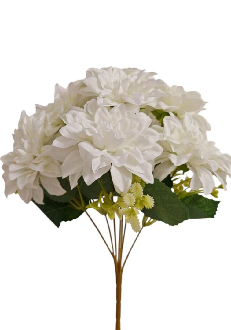 Image_20250828214428