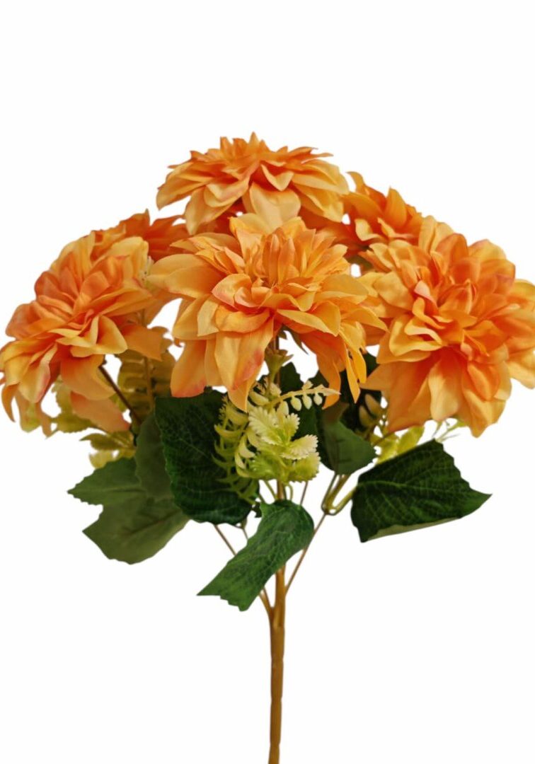 Image_202508282144281