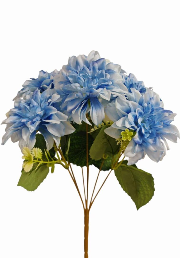 Image_202508282144282