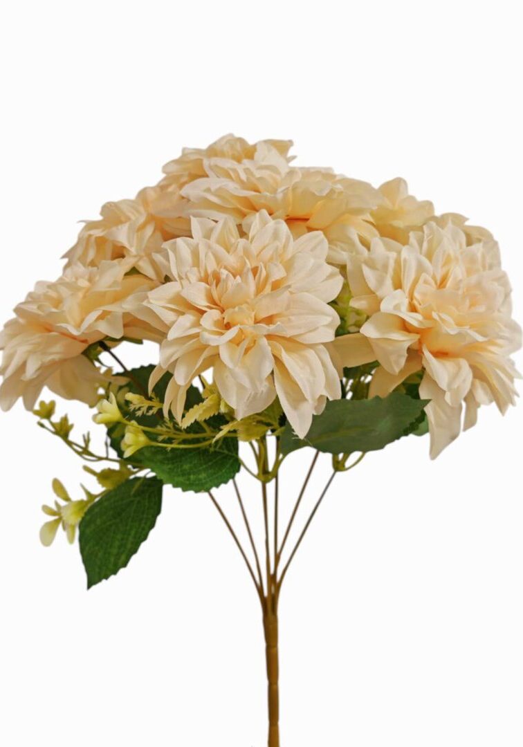 Image_202508282144283