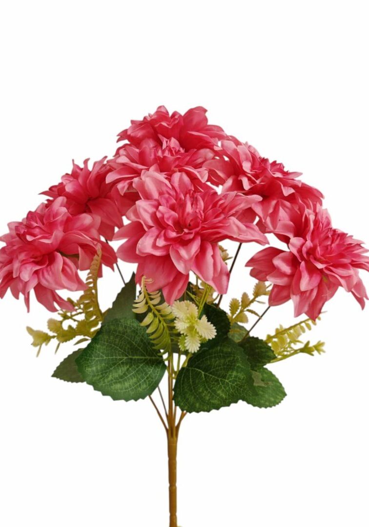 Image_202508282144284