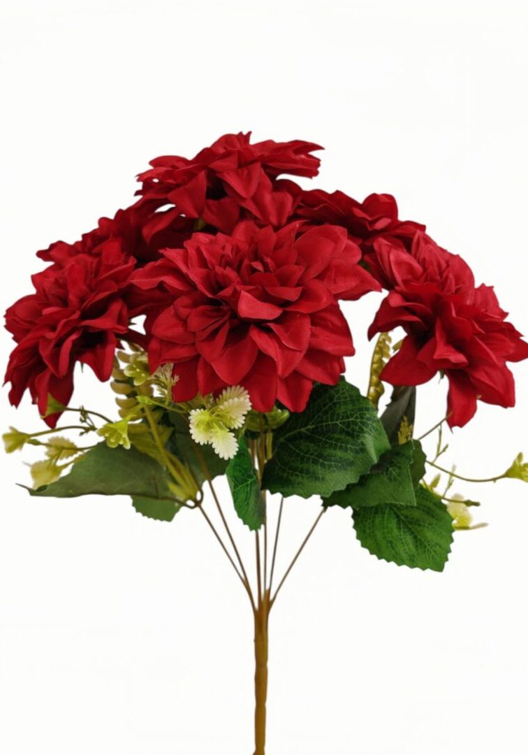 Image_202508282144285