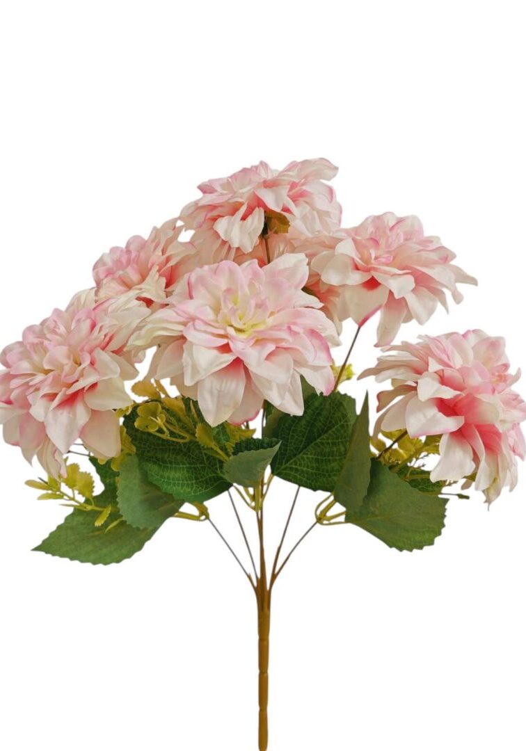 Image_20250828222139