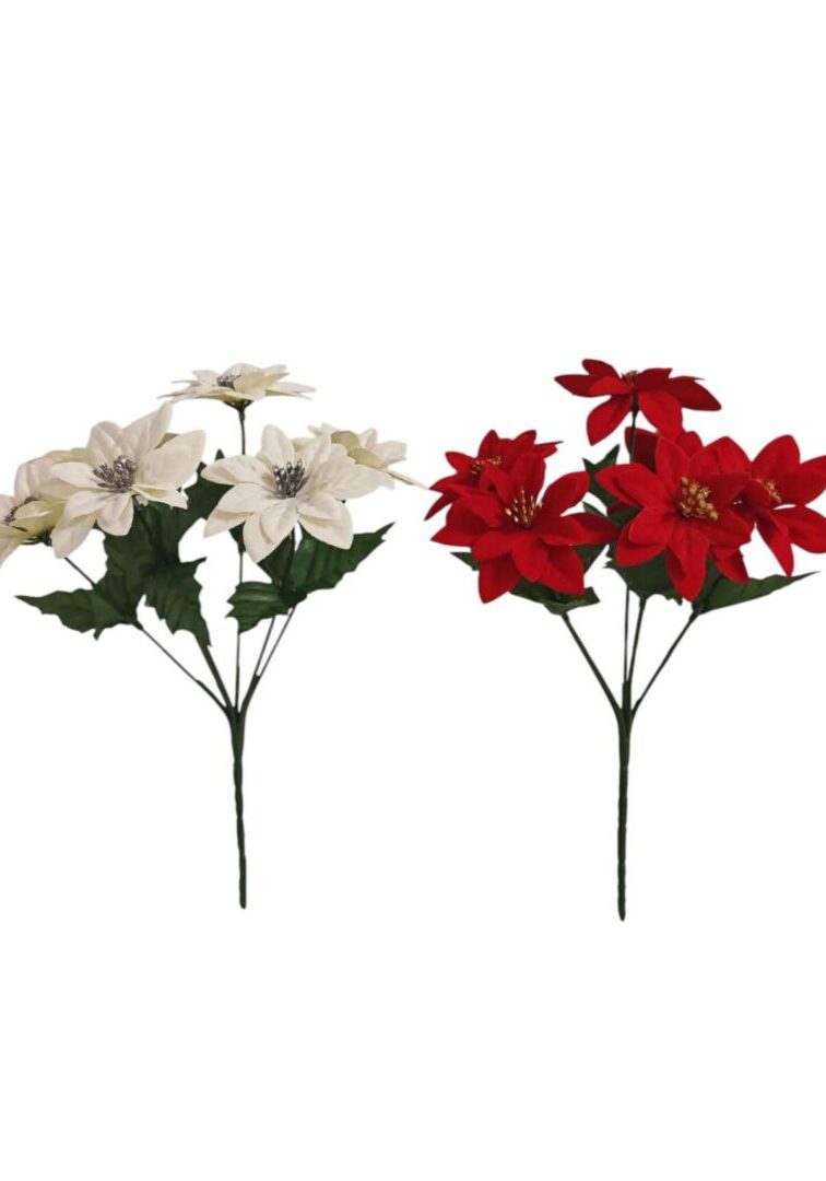 Image_202508302344183