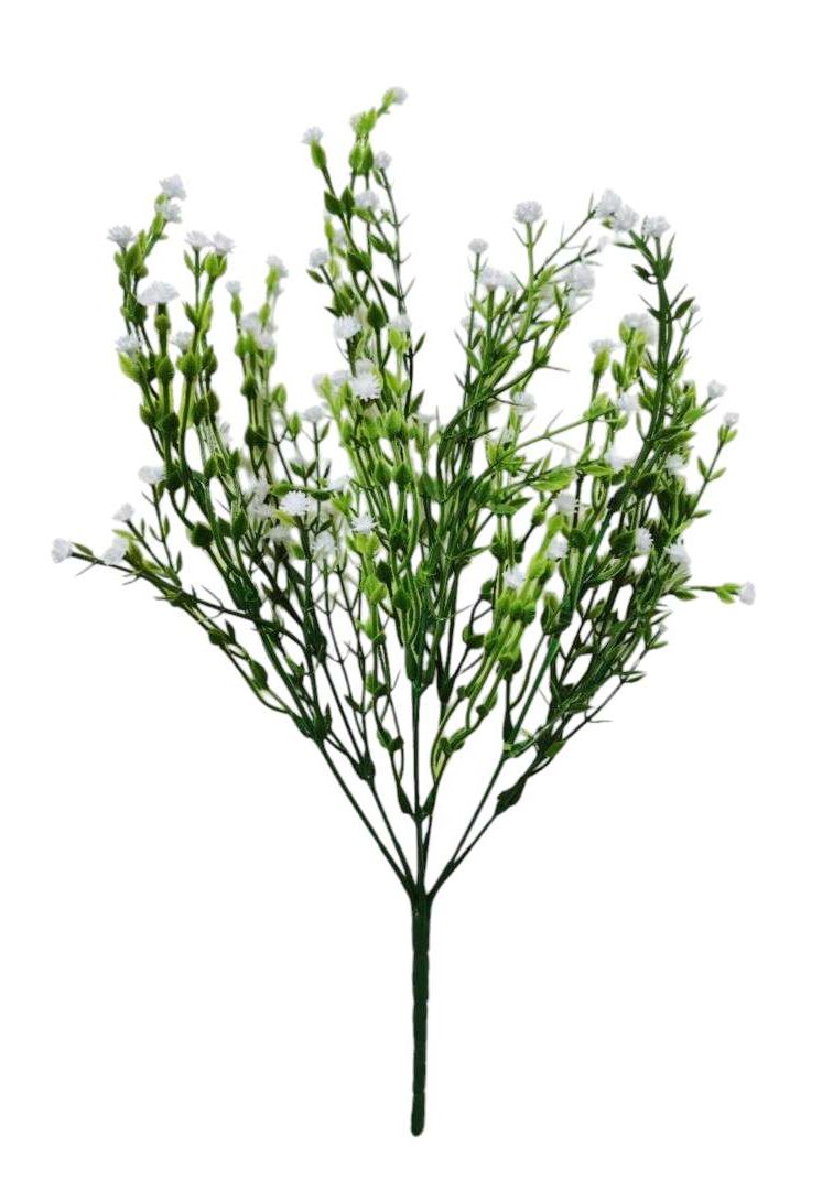 Image_20250831222517