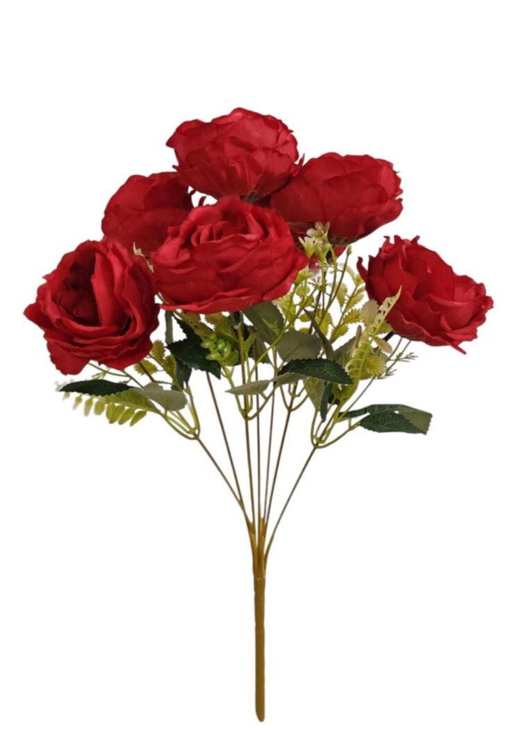 Image_20250831222550