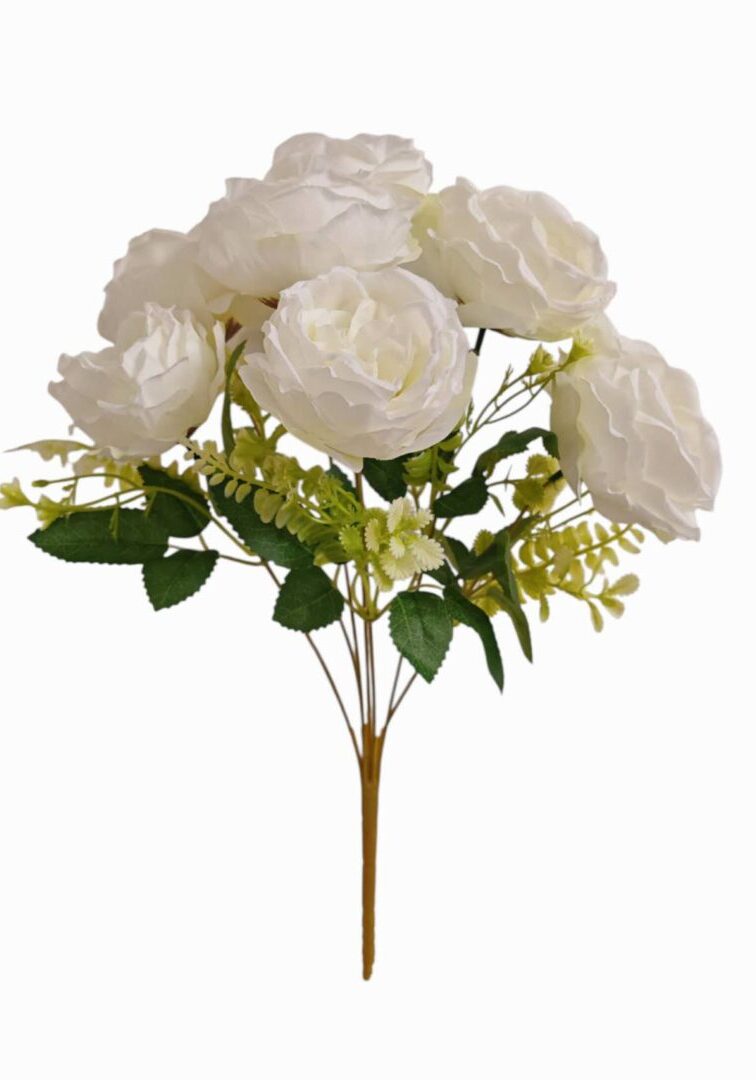 Image_202508312225501