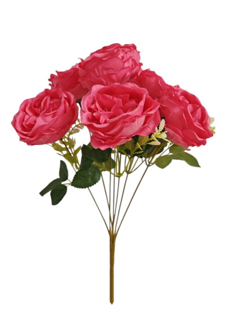 Image_202508312225502