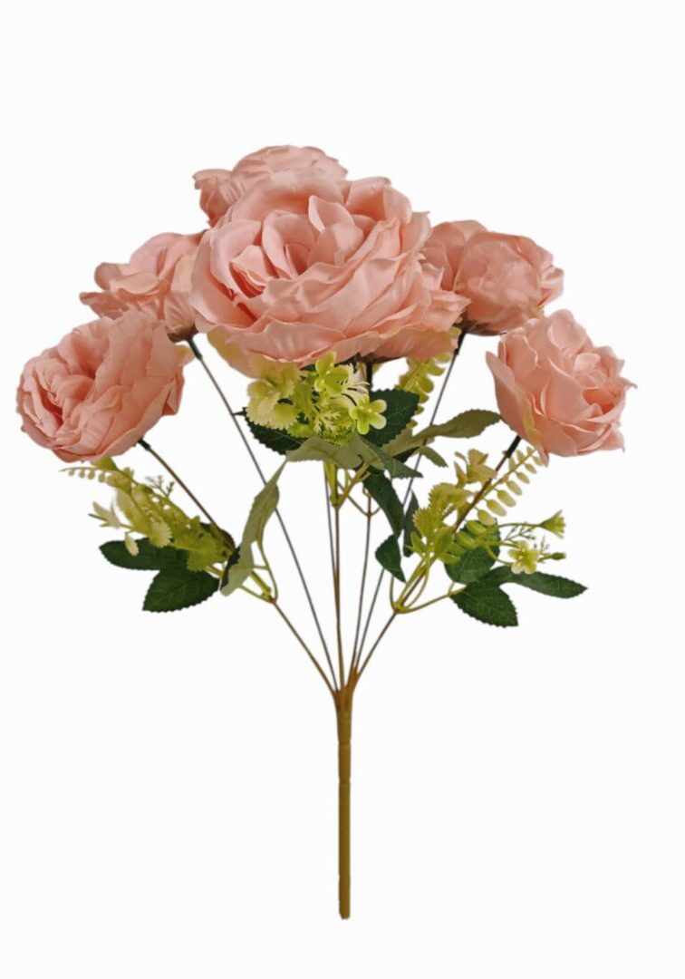 Image_202508312225503