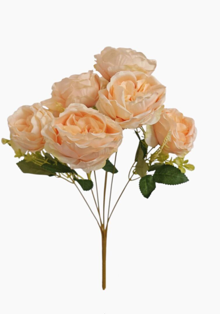 Image_20250831222551