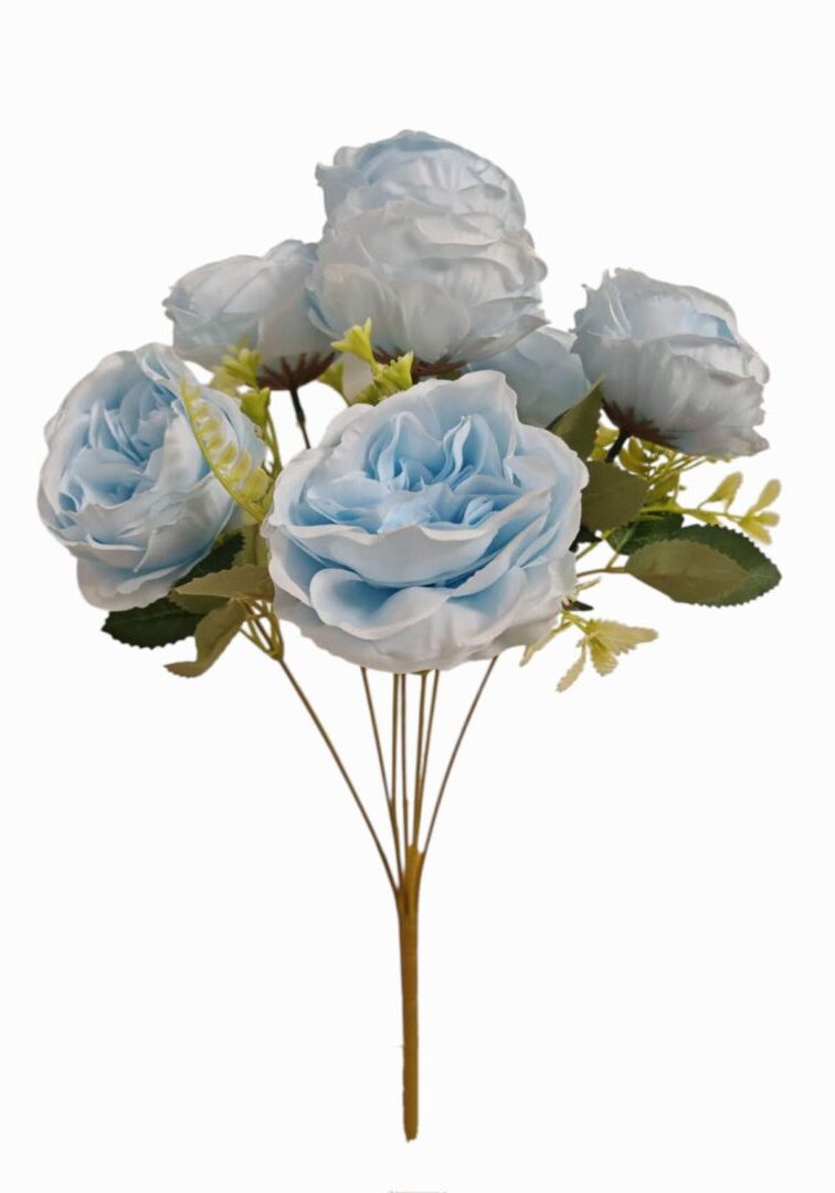 Image_202508312225511