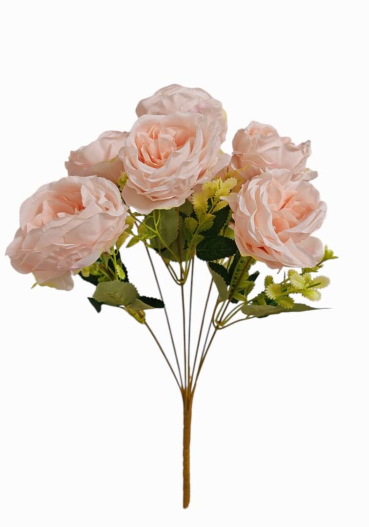 Image_202508312225512