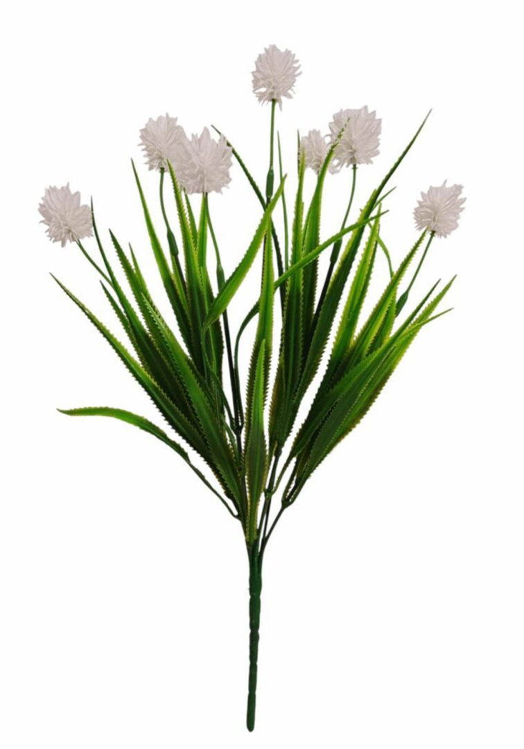 Image_202508312225523