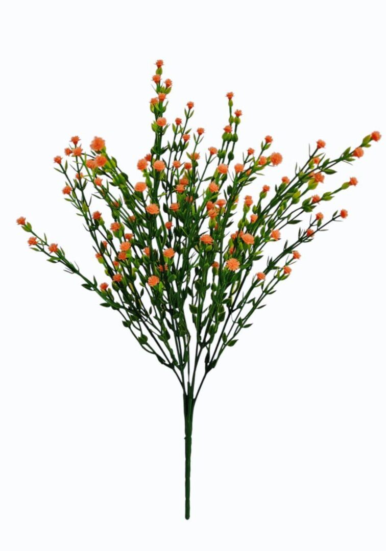 Image_202508312225524