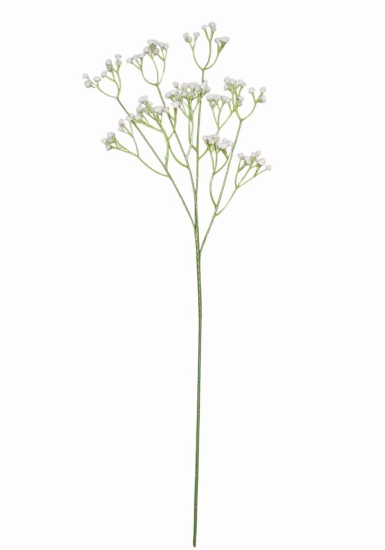 Image_20250908203514_10_90