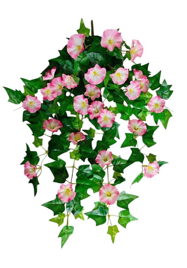 Image_20250908213721_14_90