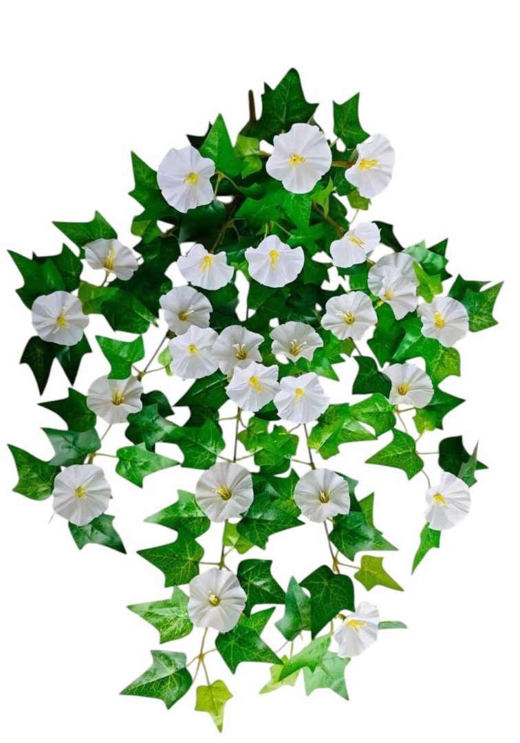 Image_20250908213722_17_90