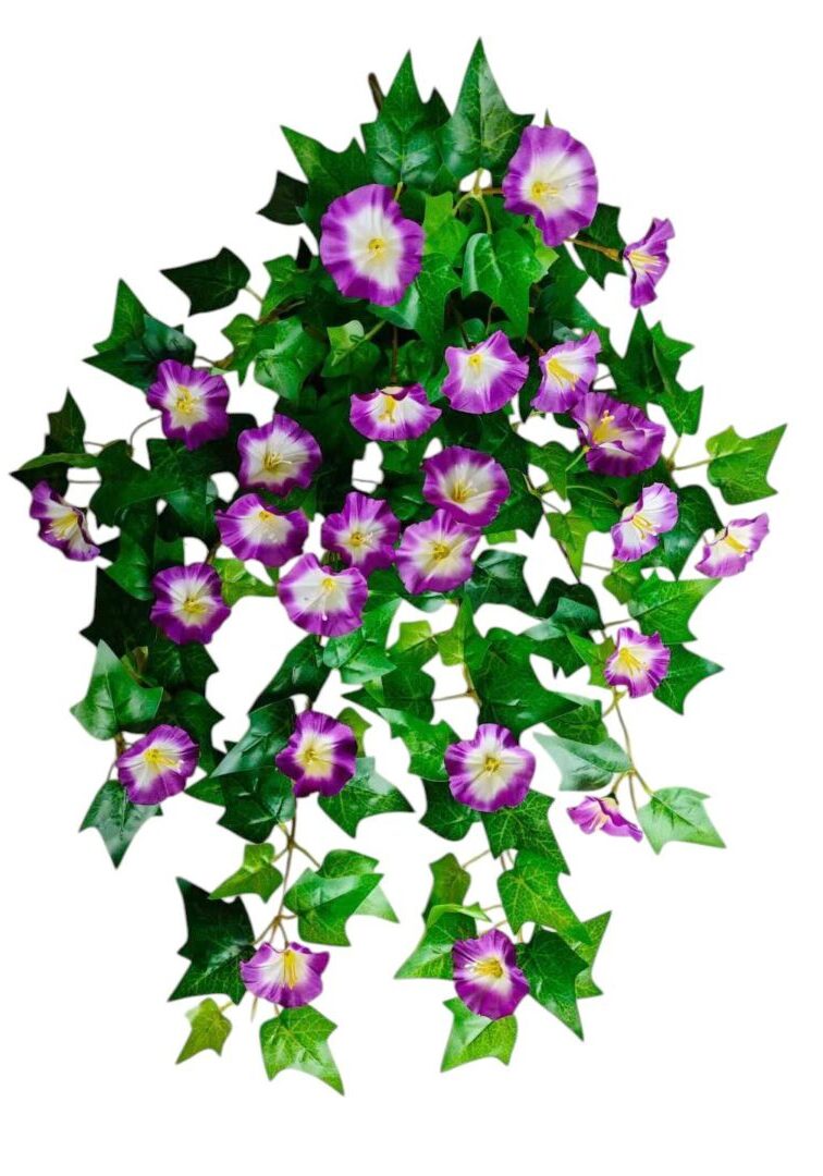 Image_20250908213723_18_90